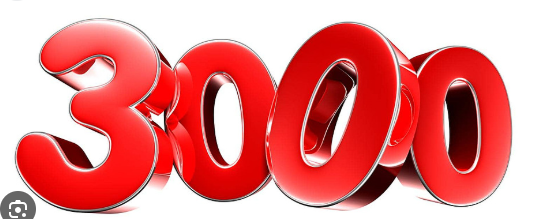 Logo 3000